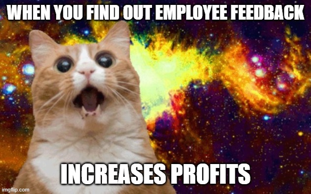 Employee Feedback Increases Profits